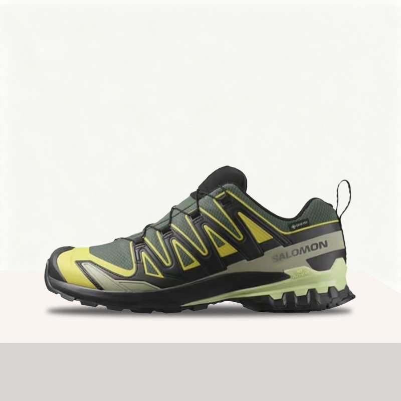 Salomon XA Pro 3D V9 GTX: Retr - Salomon Shoes Xa Pro 3D review and price