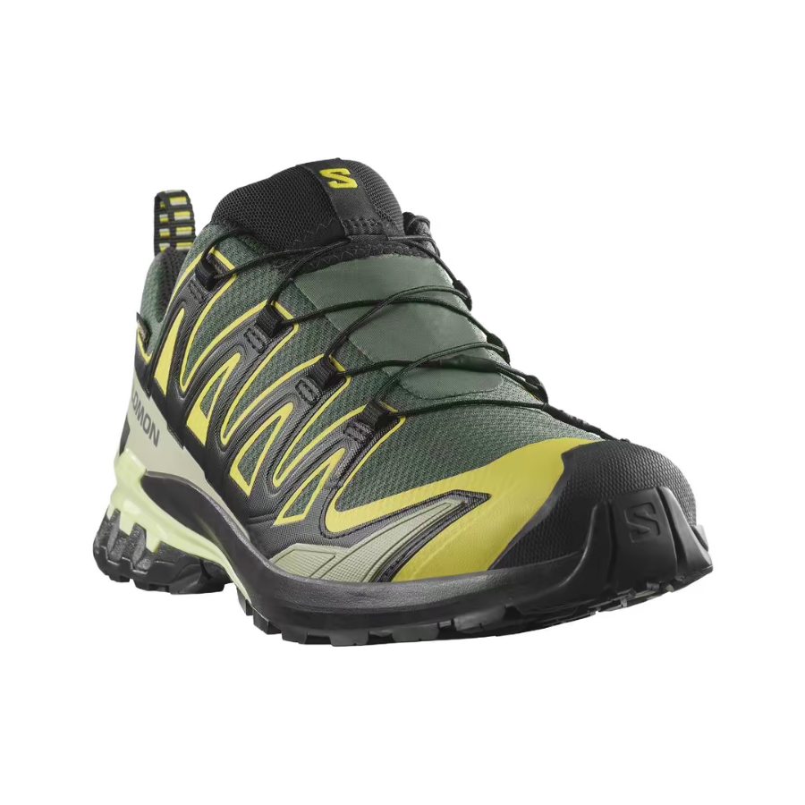 Salomon XA Pro 3D V9 GTX: Retr - Salomon Shoes Xa Pro 3D review and price