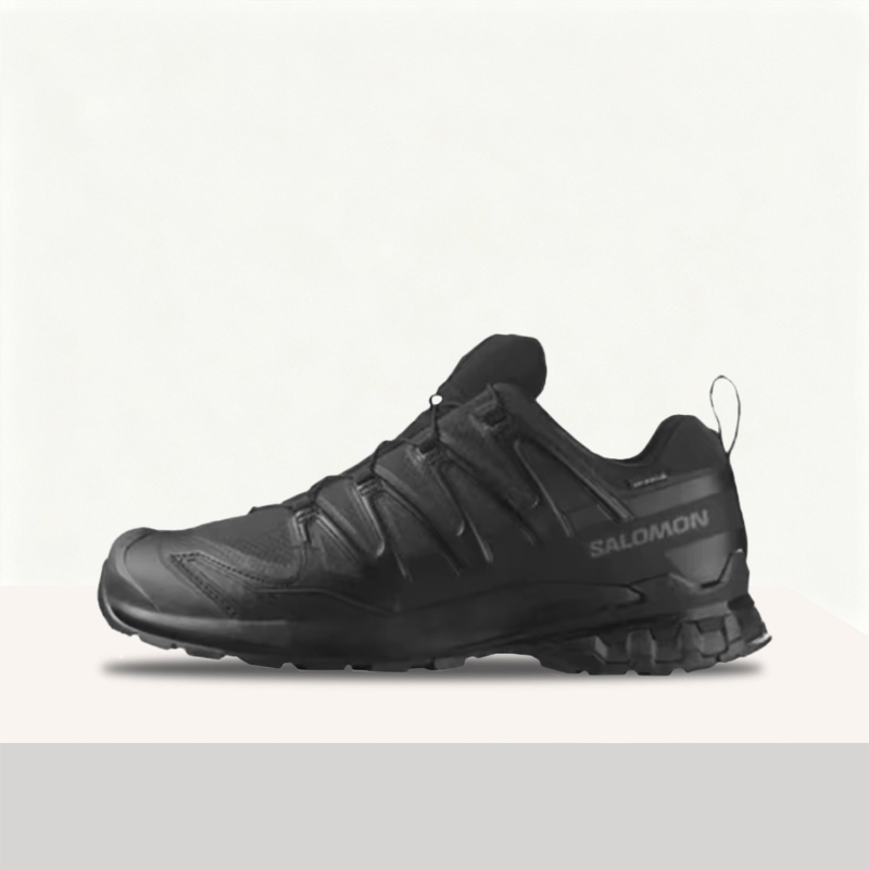 Salomon XA Pro 3D V8: Stylish, - Salomon Shoes Xa Pro 3D review and price