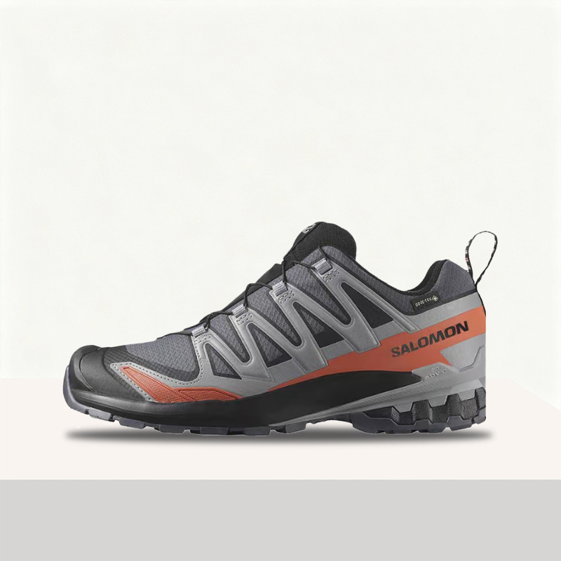 Salomon XA Pro 3D V9 GTX: Styl - Salomon Shoes Xa Pro 3D review and price