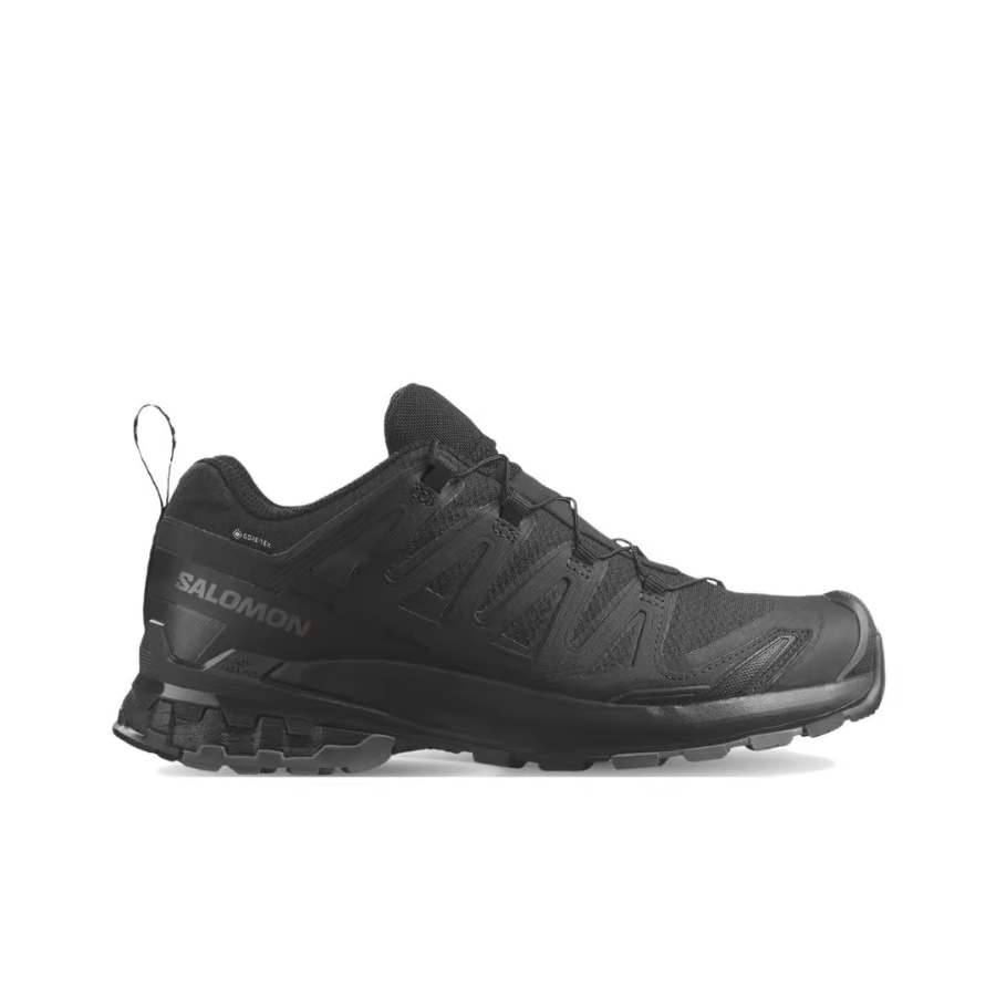 Salomon XA Pro 3D V8: All-weat - Salomon Shoes Xa Pro 3D review and price